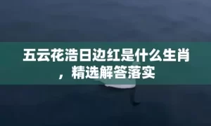 五云花浩日边红是什么生肖，精选解答落实