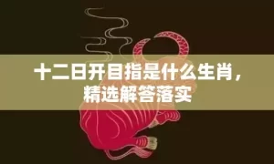 十二日开目指是什么生肖，精选解答落实