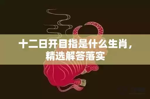 十二日开目指是什么生肖，精选解答落实