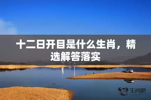 十二日开目是什么生肖，精选解答落实