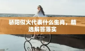 骄阳似火代表什么生肖，精选解答落实