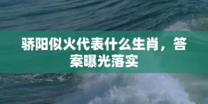 骄阳似火代表什么生肖，答案曝光落实