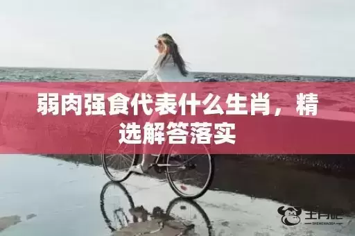 弱肉强食代表什么生肖，精选解答落实