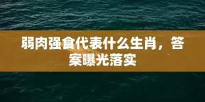 弱肉强食代表什么生肖，答案曝光落实