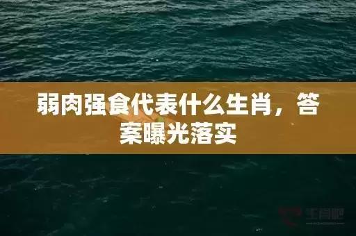 弱肉强食代表什么生肖，答案曝光落实