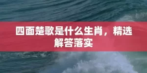 四面楚歌是什么生肖，精选解答落实