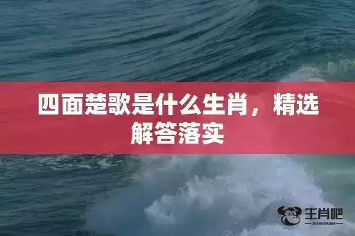 四面楚歌是什么生肖，精选解答落实