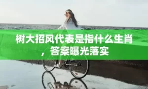 树大招风代表是指什么生肖，答案曝光落实