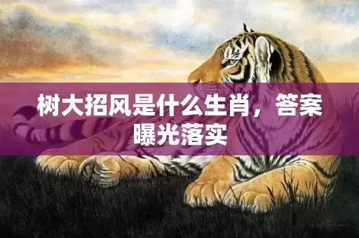 树大招风是什么生肖,答案曝光落实 树大招风是什么生肖,答案曝光落实