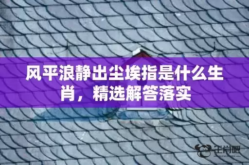 风平浪静出尘埃指是什么生肖，精选解答落实