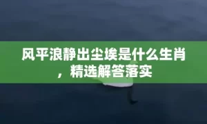 风平浪静出尘埃是什么生肖，精选解答落实