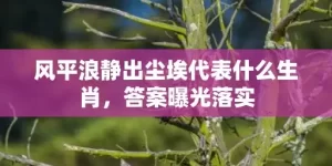 风平浪静出尘埃代表什么生肖，答案曝光落实