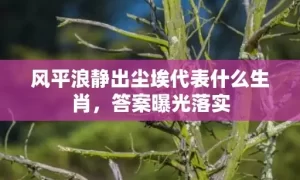 风平浪静出尘埃代表什么生肖，答案曝光落实