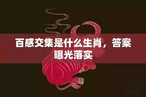 百感交集是什么生肖，答案曝光落实