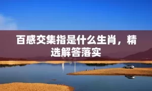 百感交集指是什么生肖，精选解答落实