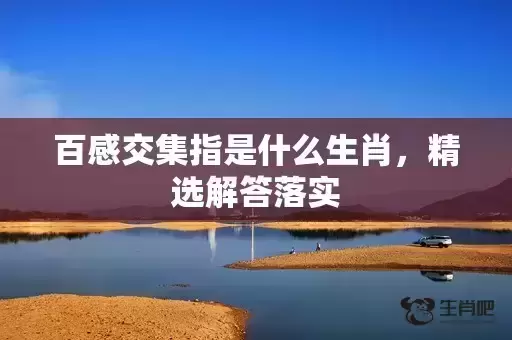 百感交集指是什么生肖，精选解答落实