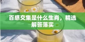 百感交集是什么生肖，精选解答落实