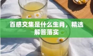 百感交集是什么生肖，精选解答落实