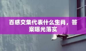 百感交集代表什么生肖，答案曝光落实