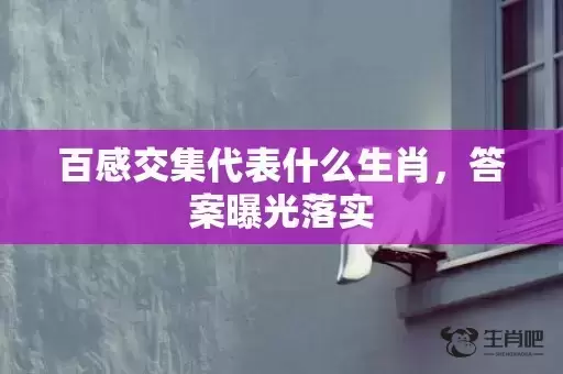 百感交集代表什么生肖,答案曝光落实 百感交集代表什么生肖,答案曝光落实