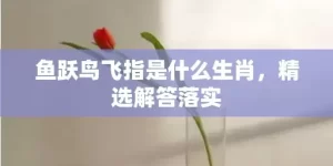 鱼跃鸟飞指是什么生肖，精选解答落实