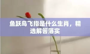 鱼跃鸟飞指是什么生肖，精选解答落实