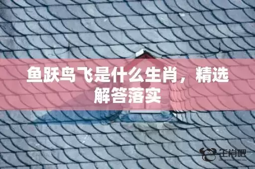 鱼跃鸟飞是什么生肖，精选解答落实