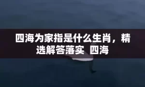 四海为家指是什么生肖，精选解答落实  四海