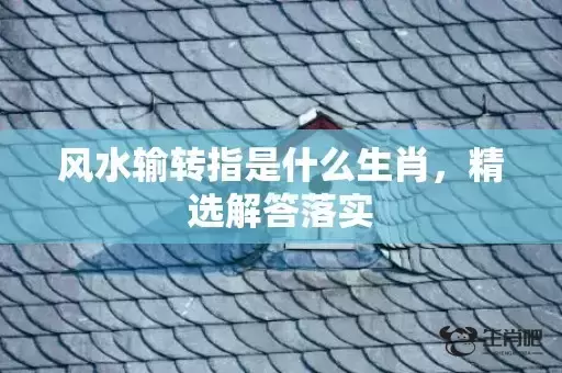 风水输转指是什么生肖，精选解答落实