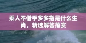 乘人不借手多多指是什么生肖，精选解答落实