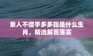 乘人不借手多多指是什么生肖，精选解答落实