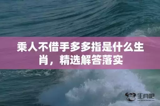 乘人不借手多多指是什么生肖，精选解答落实