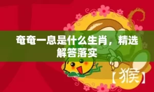 奄奄一息是什么生肖，精选解答落实