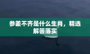 参差不齐是什么生肖，精选解答落实