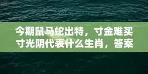 今期鼠马蛇出特，寸金难买寸光阴代表什么生肖，答案曝光落实