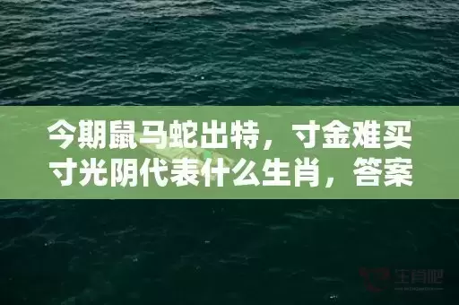 今期鼠马蛇出特，寸金难买寸光阴代表什么生肖，答案曝光落实