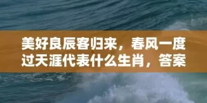 美好良辰客归来，春风一度过天涯代表什么生肖，答案曝光落实