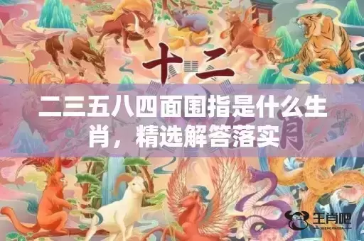二三五八四面围指是什么生肖，精选解答落实
