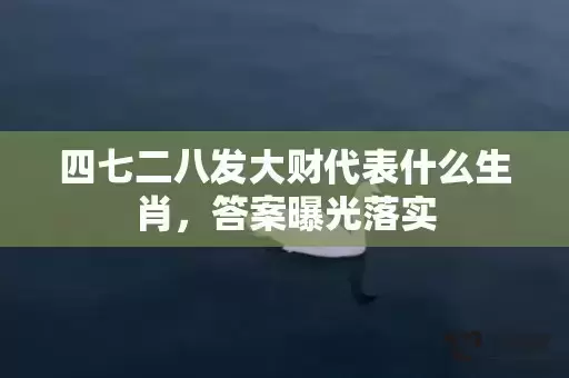 四七二八发大财代表什么生肖，答案曝光落实