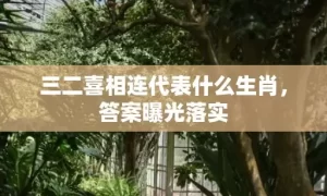 三二喜相连代表什么生肖，答案曝光落实