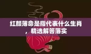 红颜薄命是指代表什么生肖，精选解答落实