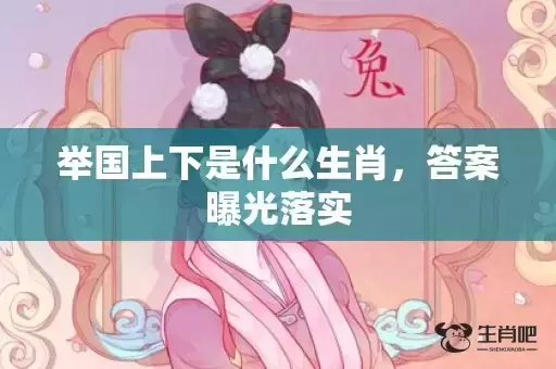 举国上下是什么生肖，答案曝光落实