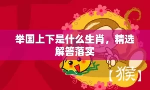 举国上下是什么生肖，精选解答落实