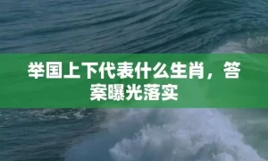 举国上下代表什么生肖，答案曝光落实