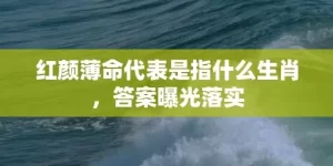 红颜薄命代表是指什么生肖，答案曝光落实