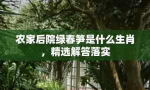 农家后院绿春笋是什么生肖，精选解答落实