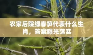 农家后院绿春笋代表什么生肖，答案曝光落实