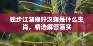 独步江湖称好汉指是什么生肖，精选解答落实