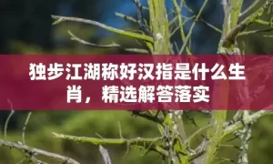 独步江湖称好汉指是什么生肖，精选解答落实