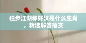 独步江湖称好汉是什么生肖，精选解答落实